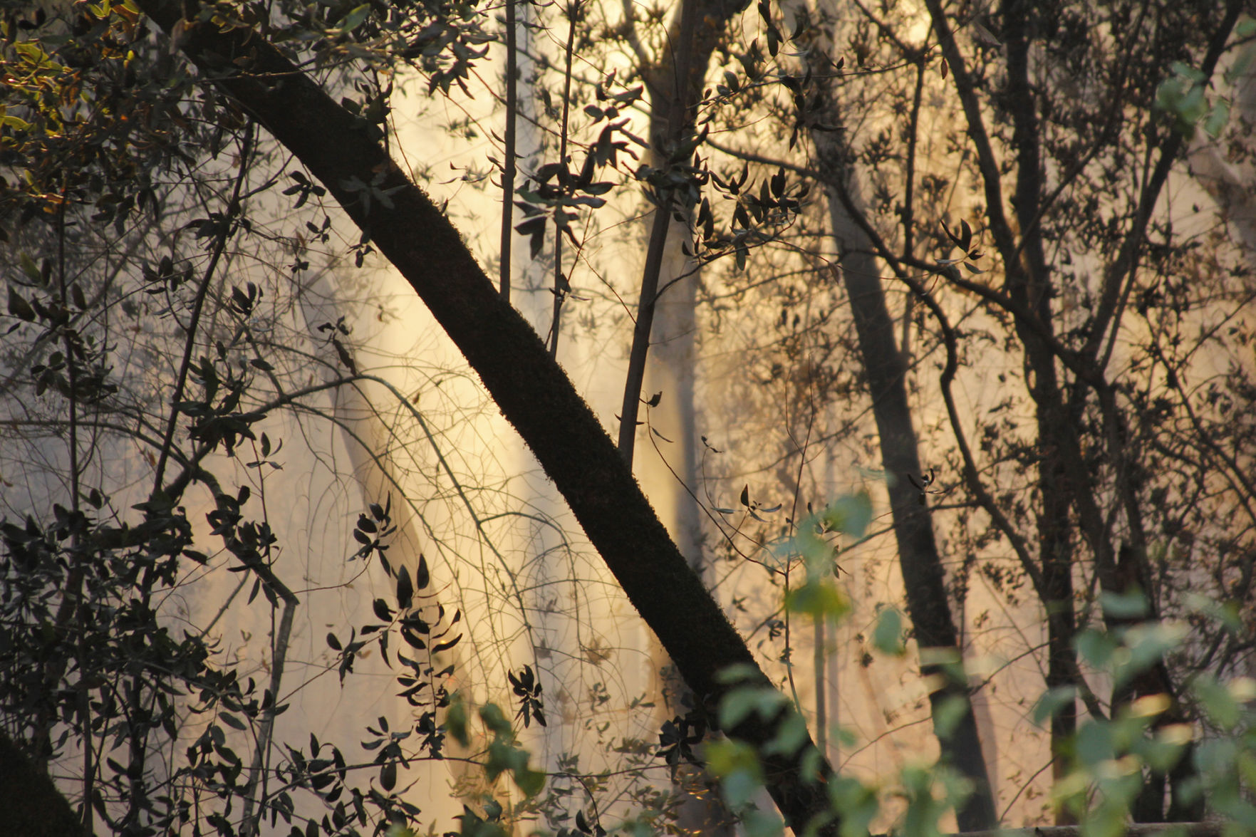 Dry Creek Road